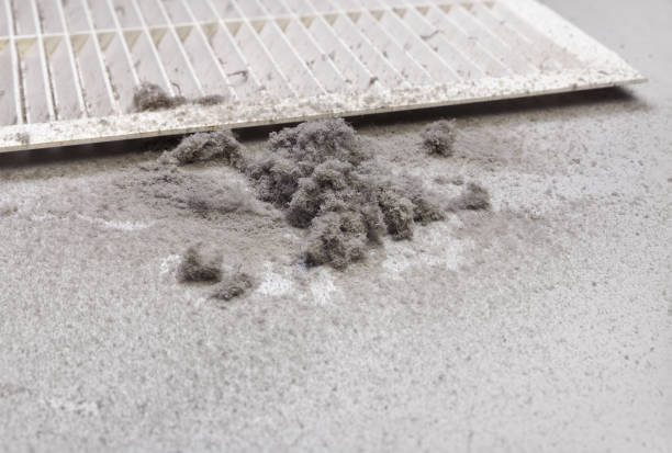 Best Affordable Duct Cleaning Services  in Northwest Harbor, NY